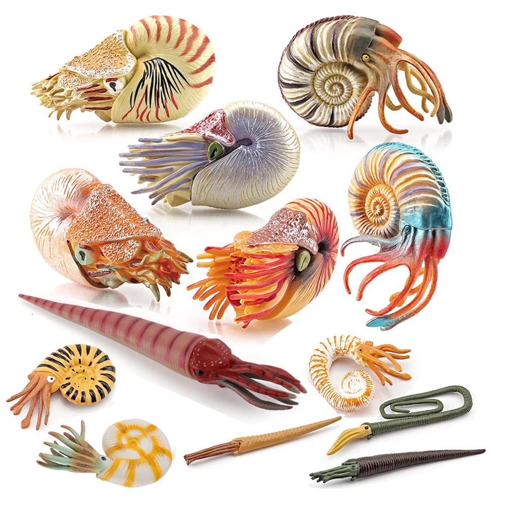 Marine Toy Animals Nautilus Fi - огляд і ціна Kids Toys Reviews
